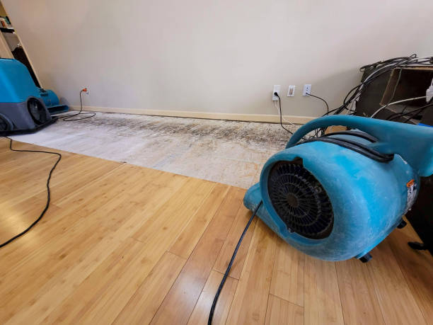 Professional Structural Drying technician working in Douglasville, GA